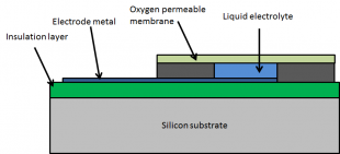 Cross-section  of a Clark oxygen sensor