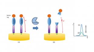 Chemistry team research illustration