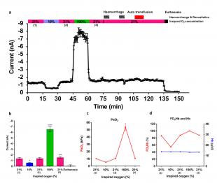 Results from miniaturised Clark sensor as oxygen present in a rat bowel varies. 